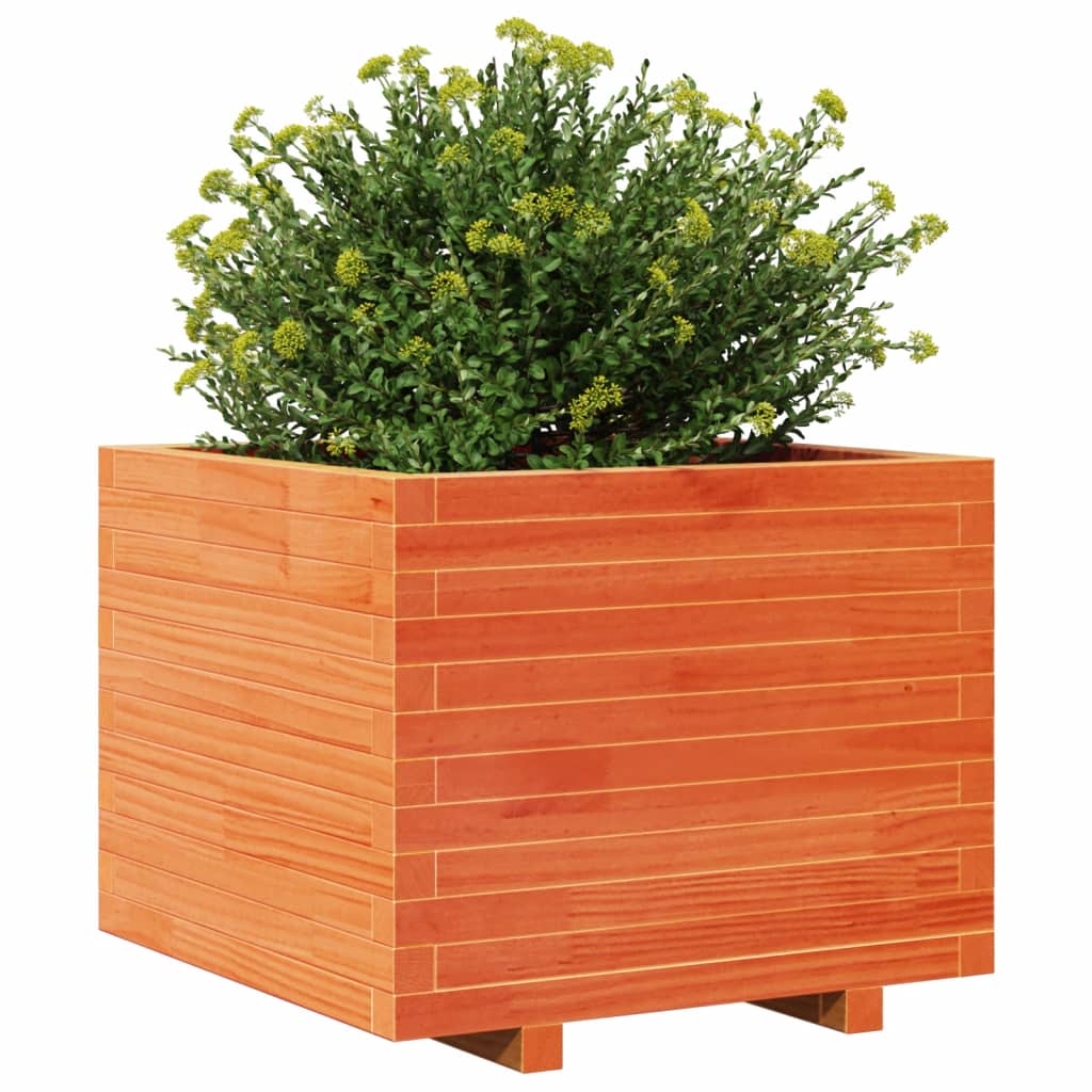 vidaXL Jardinieră grădină, maro ceruit, 60x60x49,5 cm, lemn masiv pin vidaXL Jardinieră grădină, maro ceruit, 60x60x49,5 cm, lemn masiv pin