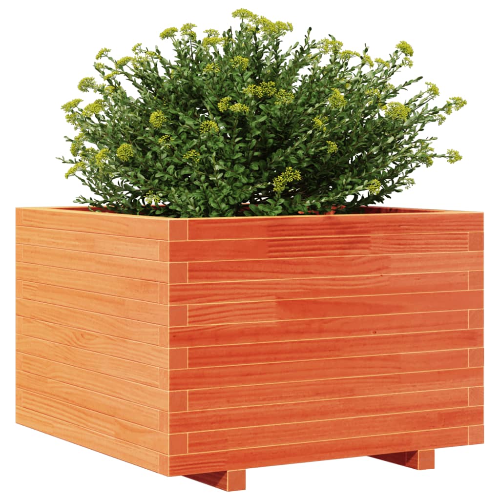 vidaXL Jardinieră grădină, maro ceruit, 70x70x49,5 cm, lemn masiv pin vidaXL Jardinieră grădină, maro ceruit, 70x70x49,5 cm, lemn masiv pin