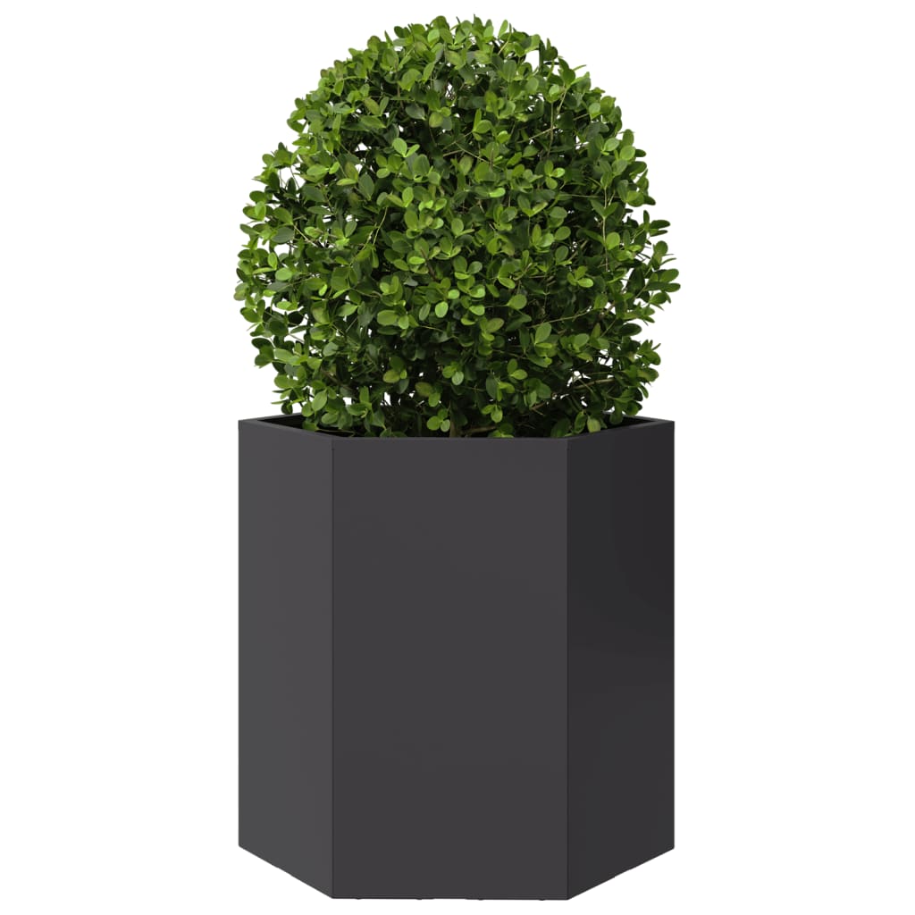 vidaXL Jardiniere de grădină, 2 buc. negru 46x40x45 cm oțel hexagonală vidaXL Jardiniere de grădină, 2 buc. negru 46x40x45 cm oțel hexagonală