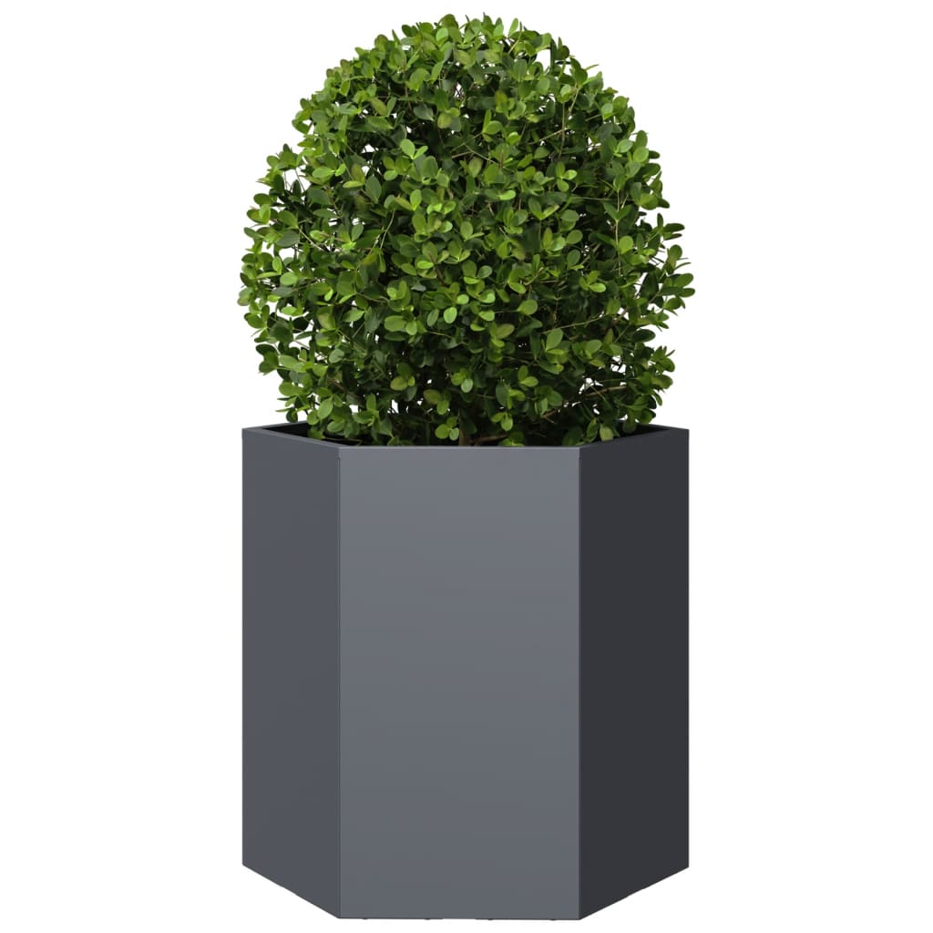 vidaXL Jardiniere grădină, 2 buc. antracit 46x40x45 cm oțel hexagonală vidaXL Jardiniere grădină, 2 buc. antracit 46x40x45 cm oțel hexagonală