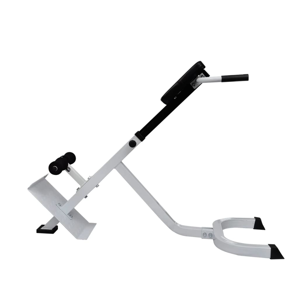 vidaXL Bancă de exerciții pentru spate vidaXL Bancă de exerciții pentru spate