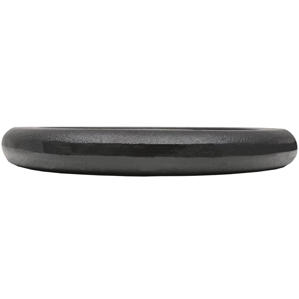vidaXL Plăci de greutate, 2 buc., 2x10 kg, fontă vidaXL Plăci de greutate, 2 buc., 2x10 kg, fontă