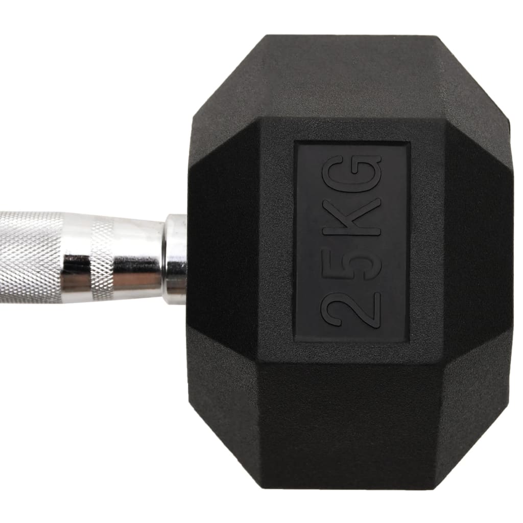 vidaXL Ganteră, 25 kg, fontă