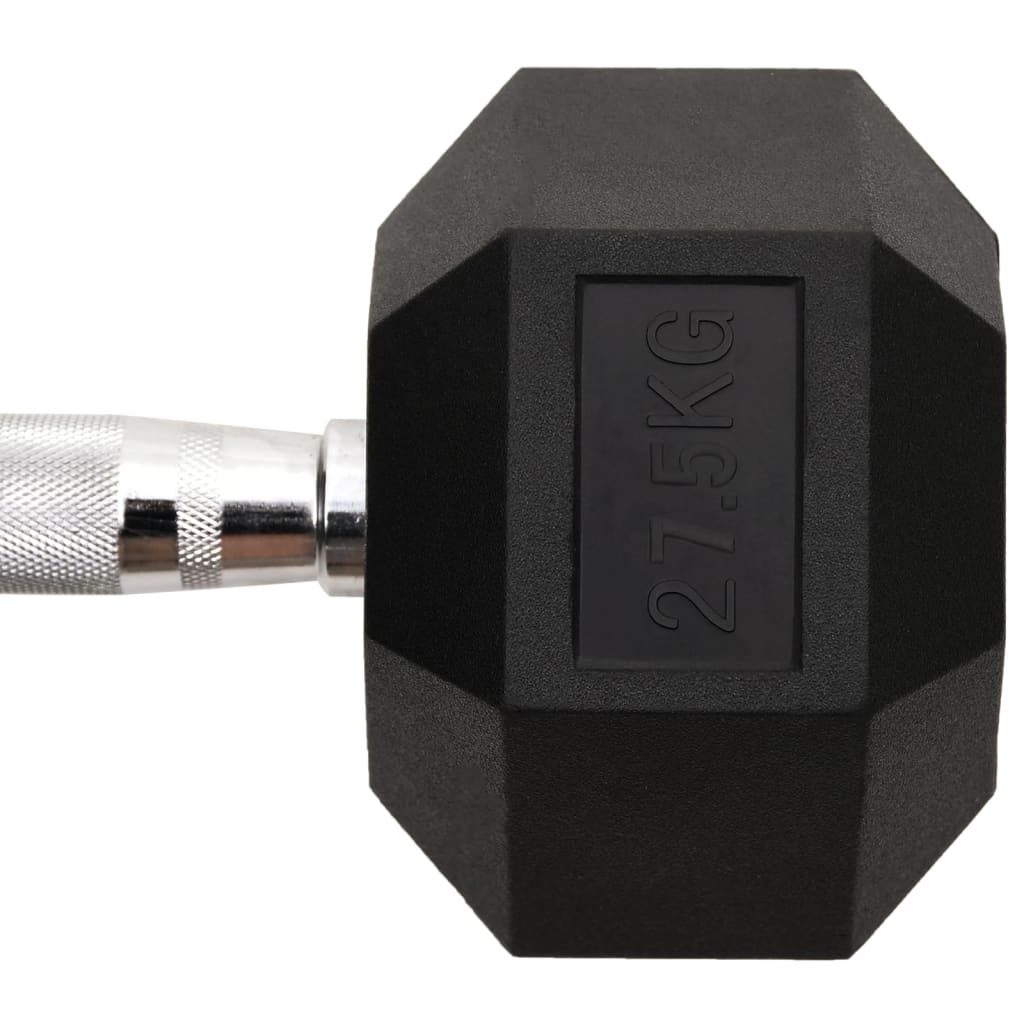 vidaXL Ganteră, 27,5 kg, fontă