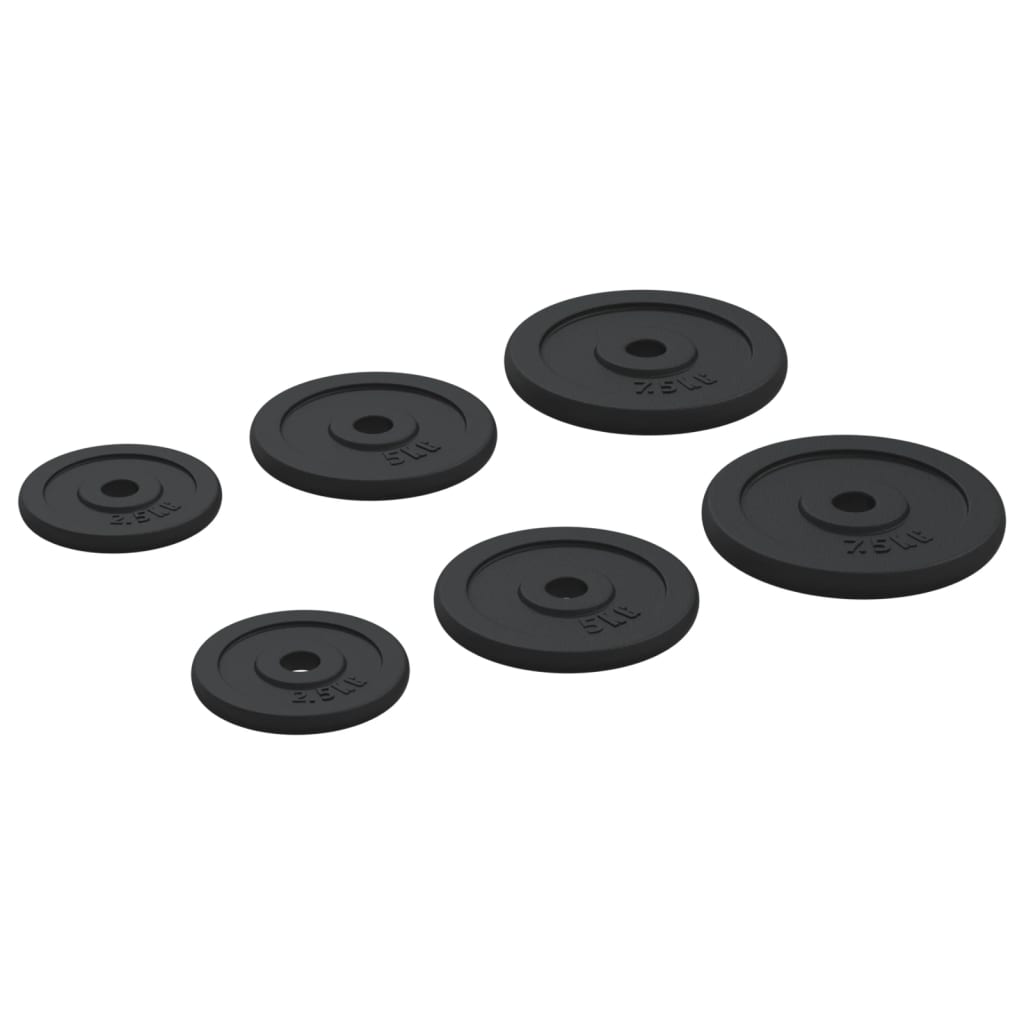 vidaXL Discuri de greutate, 6 buc., 30 kg, fontă vidaXL Discuri de greutate, 6 buc., 30 kg, fontă
