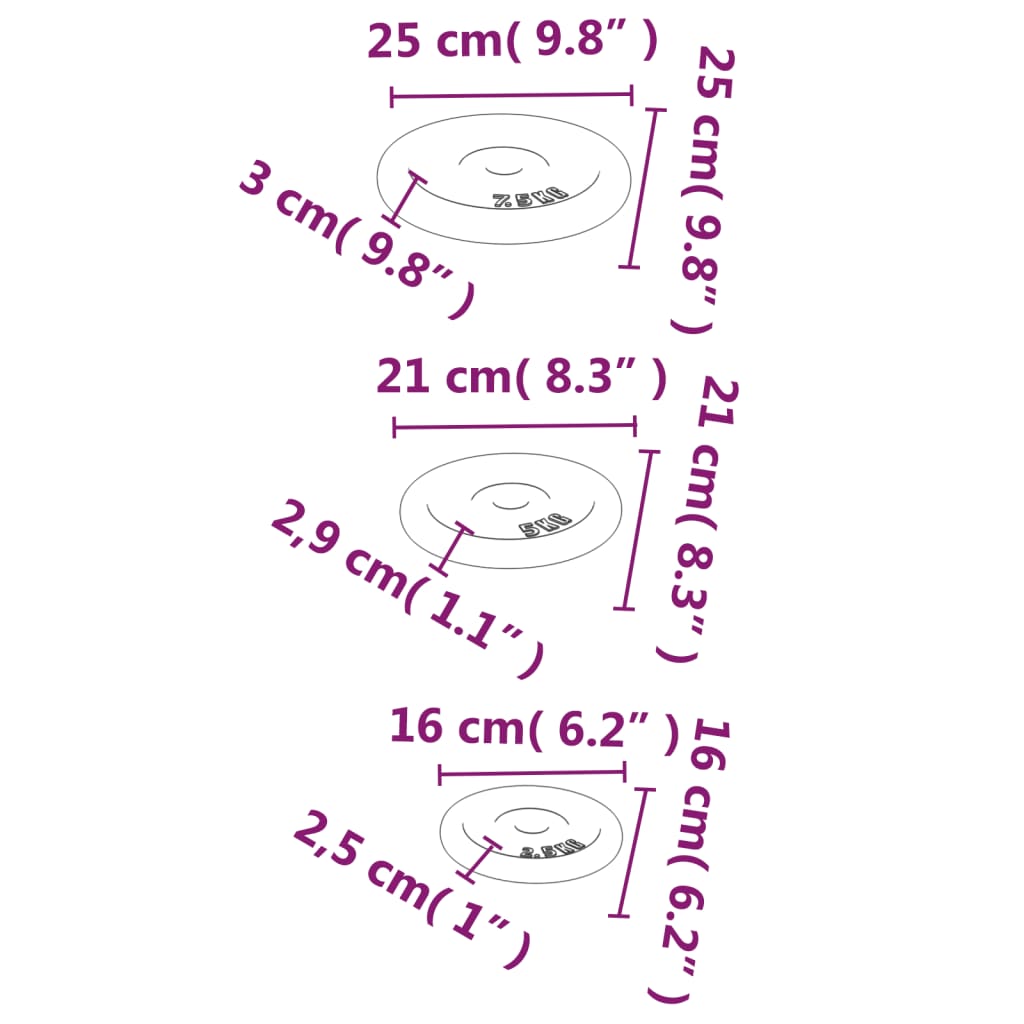 vidaXL Discuri de greutate, 6 buc., 30 kg, fontă vidaXL Discuri de greutate, 6 buc., 30 kg, fontă